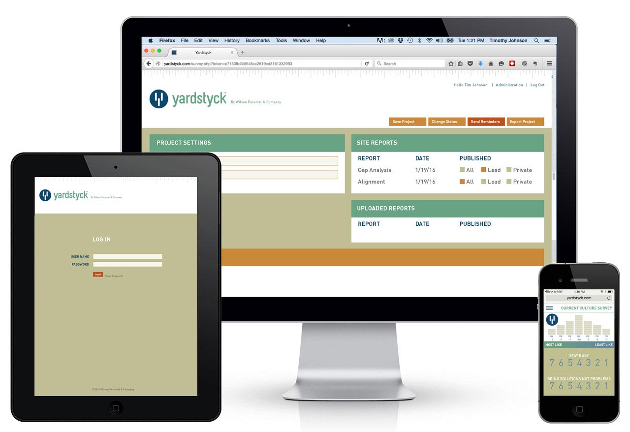 Screen shot of custom software for business culture assessment.