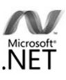 Microsoft .NET programming.