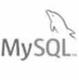 MySQL database development.