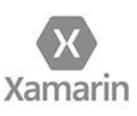 Xamarin programming.